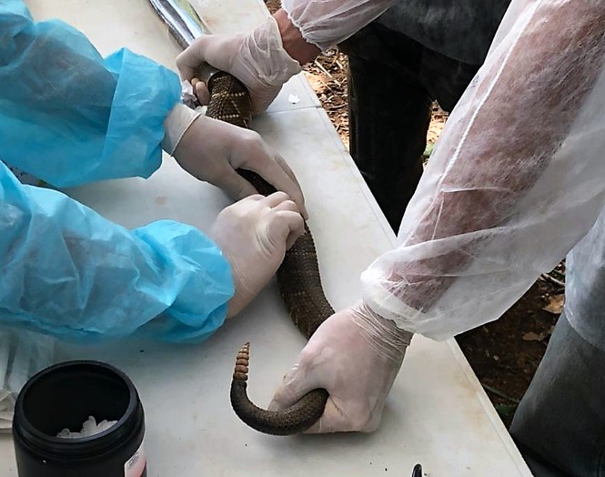 estudos realizados pela UFMG através do CTC perita do juízo nas ações judiciais relacionadas ao desastre da Vale em Brumadinho